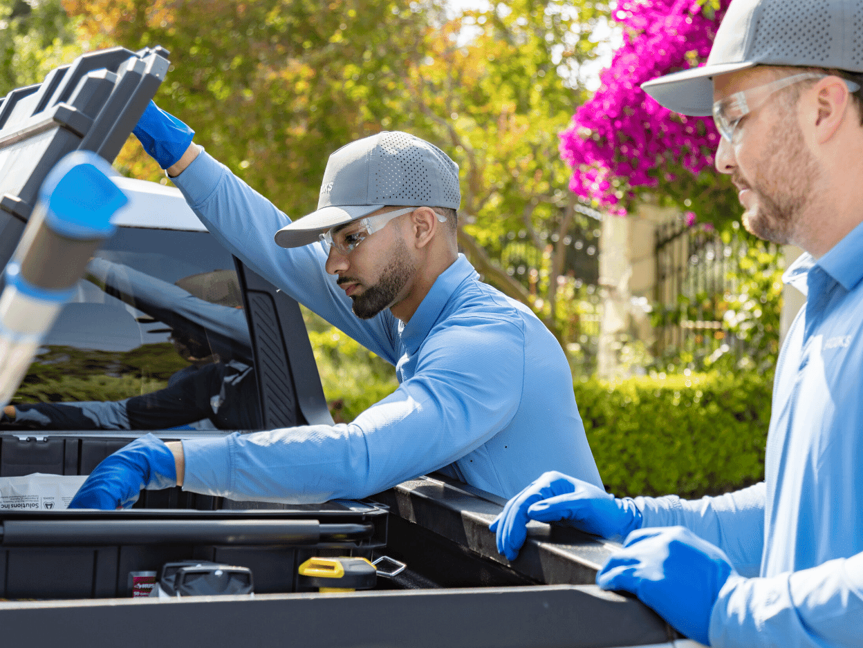 Same-Day Pest Control When You Need It Most
